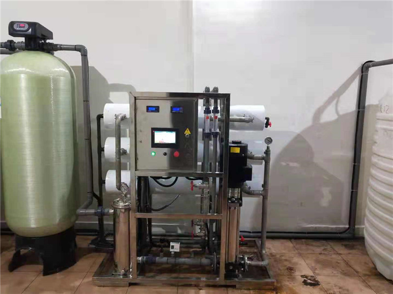 柳州贝丽嘉涂料有限公司3吨纯水设备